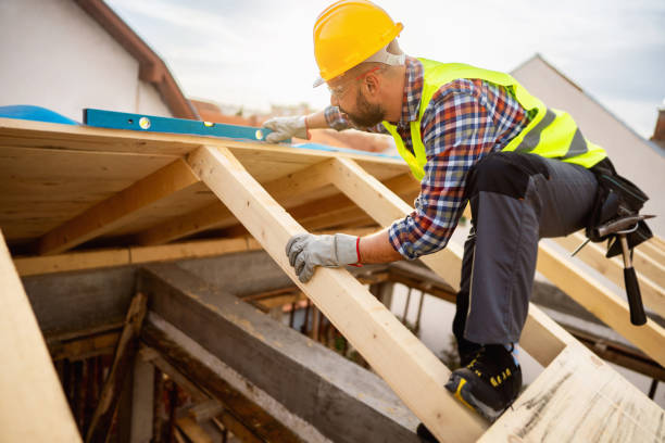 Best Storm Damage Roof Repair  in Lolo, MT