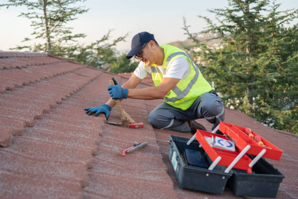 Professional Roofing Contractor in Lolo, MT
